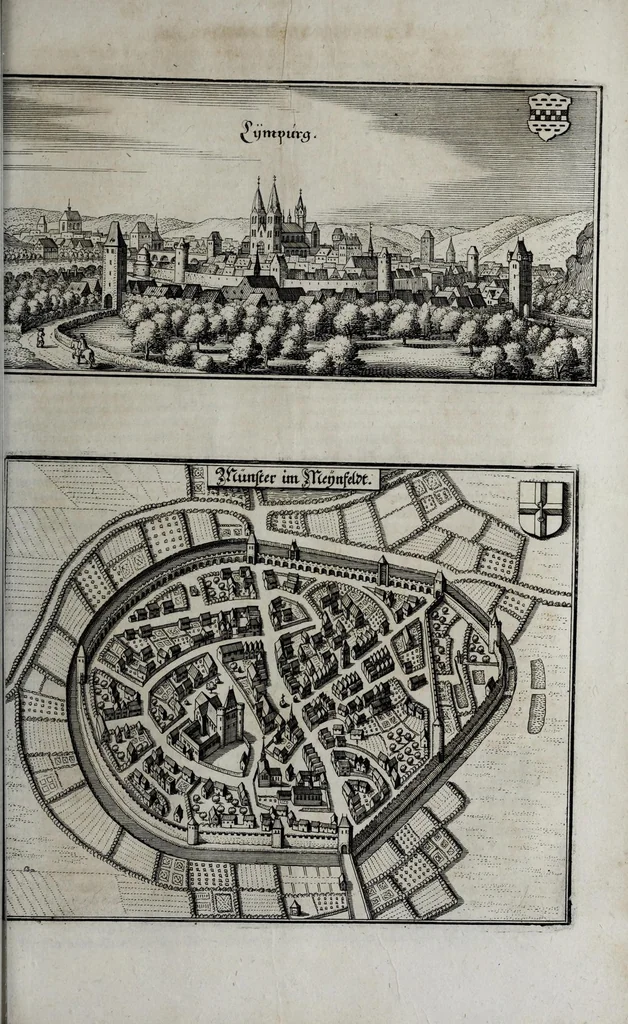 An illustration from Topographia Archiepiscopatuvm Moguntinensis, Treuirensis, et Coloniensis : das ist, Beschreibung der vornembsten Stätt vnd Plätz in denen Ertzbistumen Maÿnz, Trier, vnd Cöln, 1646, leaf 141