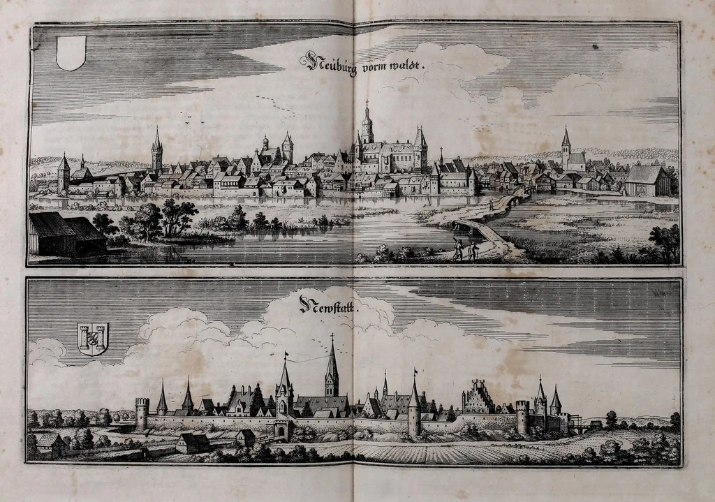 An illustration from Topographia Bavariæ : das ist, Beschreib. vnd aigentliche Abbildung der vornembsten Stätt vnd Orth in Ober vnd Nieder Beÿern, der Ober Pfaltz, vnd anderen, zum hochlöblichen Baÿrischen Craisse hehörigen Landschaften, 1660, leaf 113