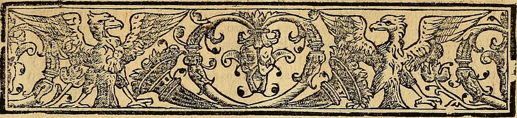 An illustration from Topographia, e historia general de Argel, repartida en cinco tradados, do se veran casos estraños, muertes espantosas, y tormentos exquisitos, que conviene se entiendan en la Christiandad ..., 1612, leaf 204