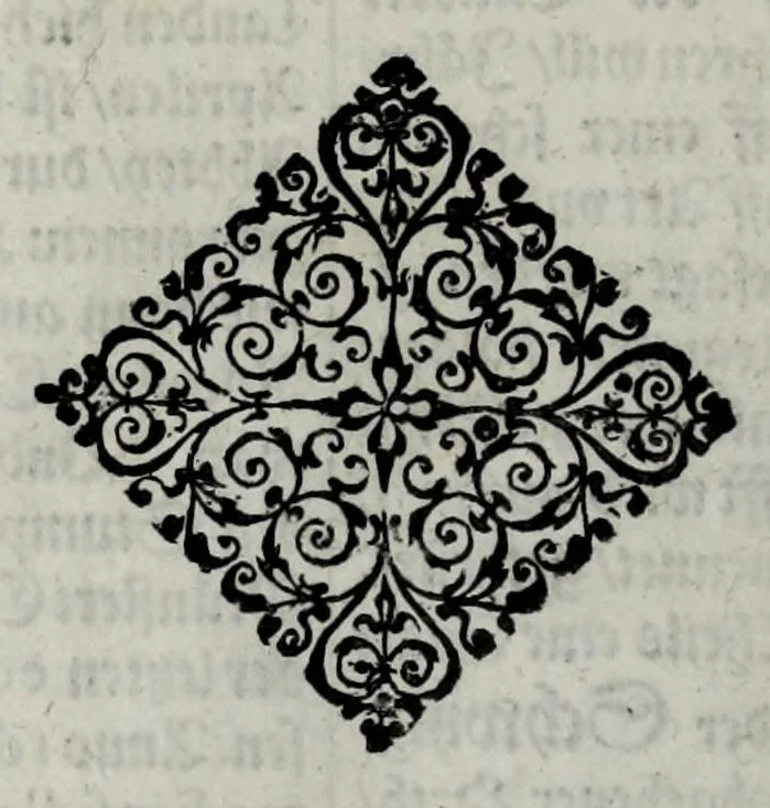 An illustration from Topographia Helvetiæ, Rhætiæ et Valesiæ : das ist, Beschreibung vnnd eygentliche Abbildung der vornemsten Stätte vnd Plätze in der hochlöblichen Eydgnossschafft, Graubündten, Wallis, vnd etlicher zugewandten Orthen, 1654, leaf 164
