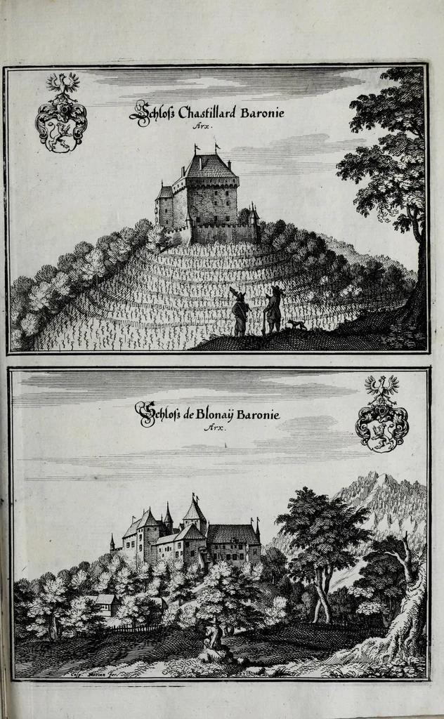An illustration from Topographia Helvetiæ, Rhætiæ et Valesiæ : das ist, Beschreibung vnnd eygentliche Abbildung der vornemsten Stätte vnd Plätze in der hochlöblichen Eydgnossschafft, Graubündten, Wallis, vnd etlicher zugewandten Orthen, 1654, leaf 415