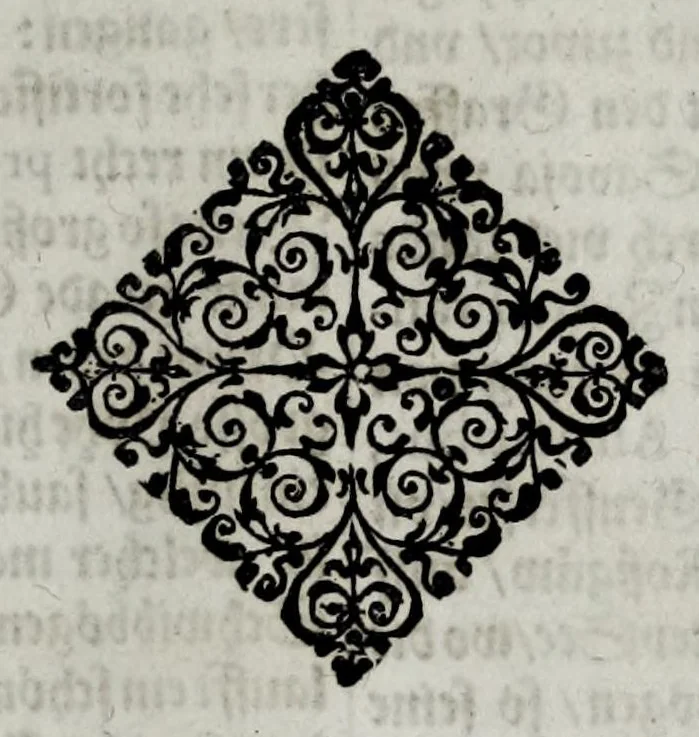An illustration from Topographia Helvetiæ, Rhætiæ et Valesiæ : das ist, Beschreibung vnnd eygentliche Abbildung der vornemsten Stätte vnd Plätze in der hochlöblichen Eydgnossschafft, Graubündten, Wallis, vnd etlicher zugewandten Orthen, 1654, leaf 71