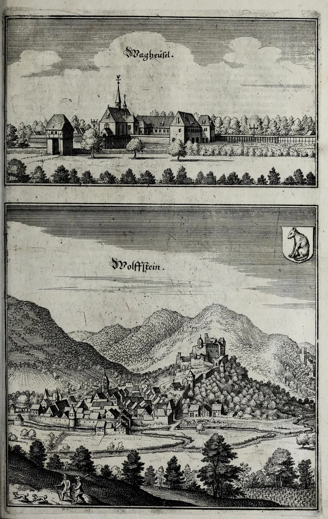 An illustration from Topographia Palatinatus Rheni et vicinarum regionum : das ist, Beschreibung vnd eigentliche Abbildungen der vornemsten Statte V. Plätz der Vntern Pfaltz am Rhein vnd benachbarten Landschaften, als der Bistumer Wormbs vnd Speÿer, der Bergstrass, des Westerreichs, Hundrücks, Zweÿbrüggen, etc. : sampt einer Zugabe ettlicher des, H. Röm. Reichs zu dem Ober Reinischen Cräyss gezogenen ständen, als Bisantz, Metz, Tull, Verdun, Lothringen, Savoyen, etc, 1645, leaf 237