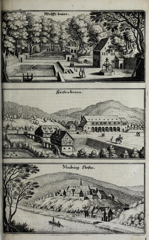 An illustration from Topographia Palatinatus Rheni et vicinarum regionum : das ist, Beschreibung vnd eigentliche Abbildungen der vornemsten Statte V. Plätz der Vntern Pfaltz am Rhein vnd benachbarten Landschaften, als der Bistumer Wormbs vnd Speÿer, der Bergstrass, des Westerreichs, Hundrücks, Zweÿbrüggen, etc. : sampt einer Zugabe ettlicher des, H. Röm. Reichs zu dem Ober Reinischen Cräyss gezogenen ständen, als Bisantz, Metz, Tull, Verdun, Lothringen, Savoyen, etc, 1645, leaf 99