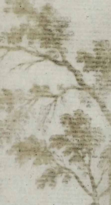 An illustration from Topographia Saxoniæ Inferioris : das ist, Beschreibung der vornehmsten Stätte vnnd Plätz in dem hochl. Nider Sachss., Craÿss, 1653, leaf 353