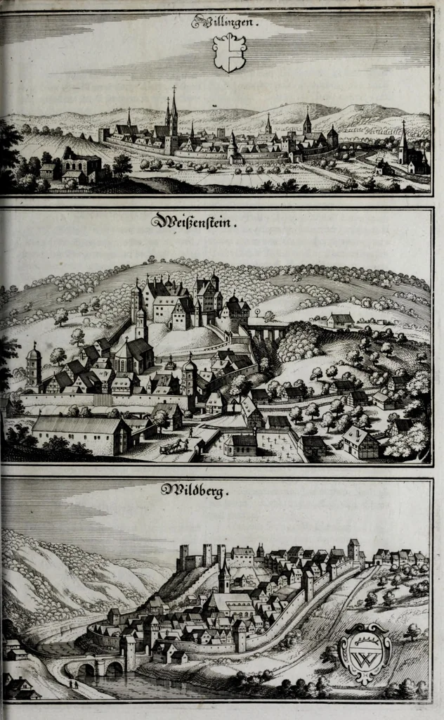 An illustration from Topographia Sveviæ : das ist, Beschreib. vnd aigentliche Abcontrafeitung der fürnembstẽ Stätt vnd Plätz in Ober vnd Nider Schwaben, Hertzogthum Würtenberg, Marggraffschafft Baden, vnd andern zu dem hochlöbl. Schwabischen Craisse gehörigen Landschafften vnd Orten, 1660, leaf 477