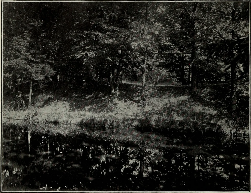 An illustration from Topographie der historischen und Kunst-Denkmale im politischen Bezirke Pribram, 1902, leaf 49