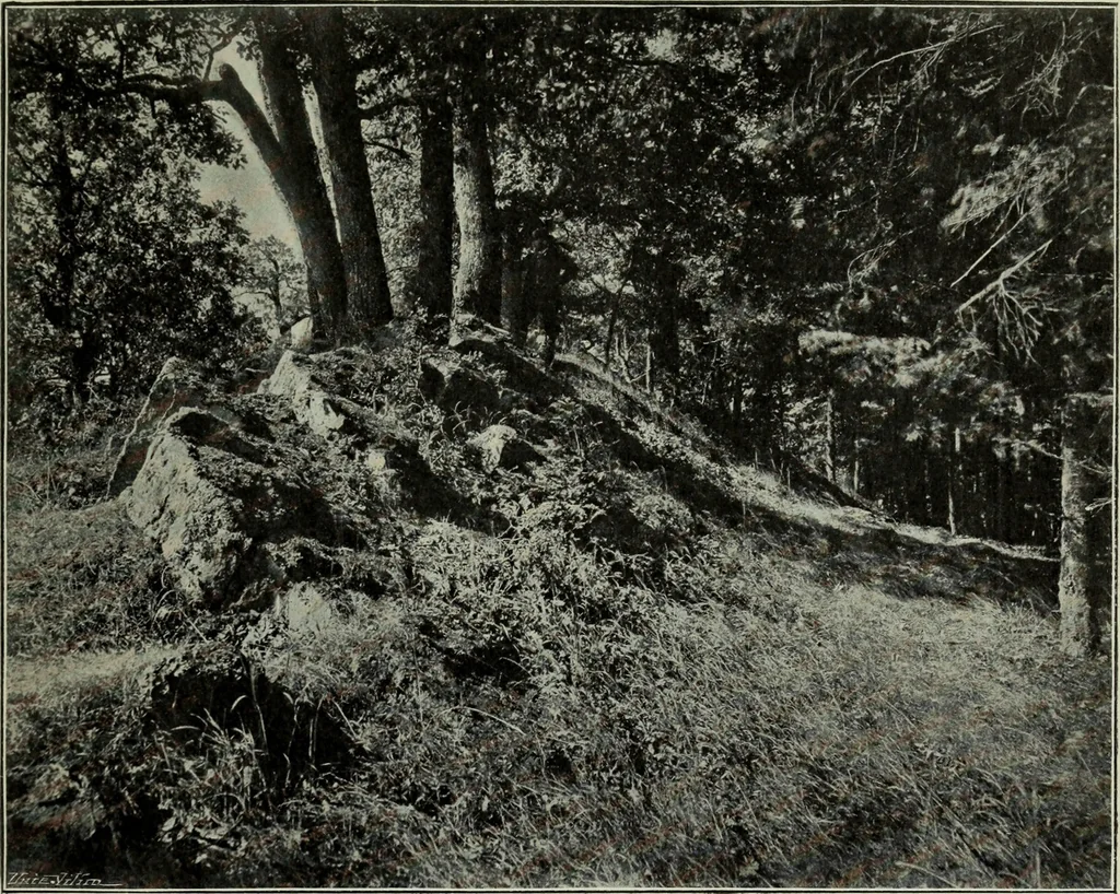 An illustration from Topographie der historischen und Kunst-Denkmale im politischen Bezirke Pribram, 1902, leaf 60