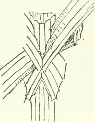 An illustration from Topographie der historischen und Kunst-Denkmale im Königreiche Böhmen von der Urzeit bis zum Anfange des XIX Jahrhundertes, 1897, leaf 45