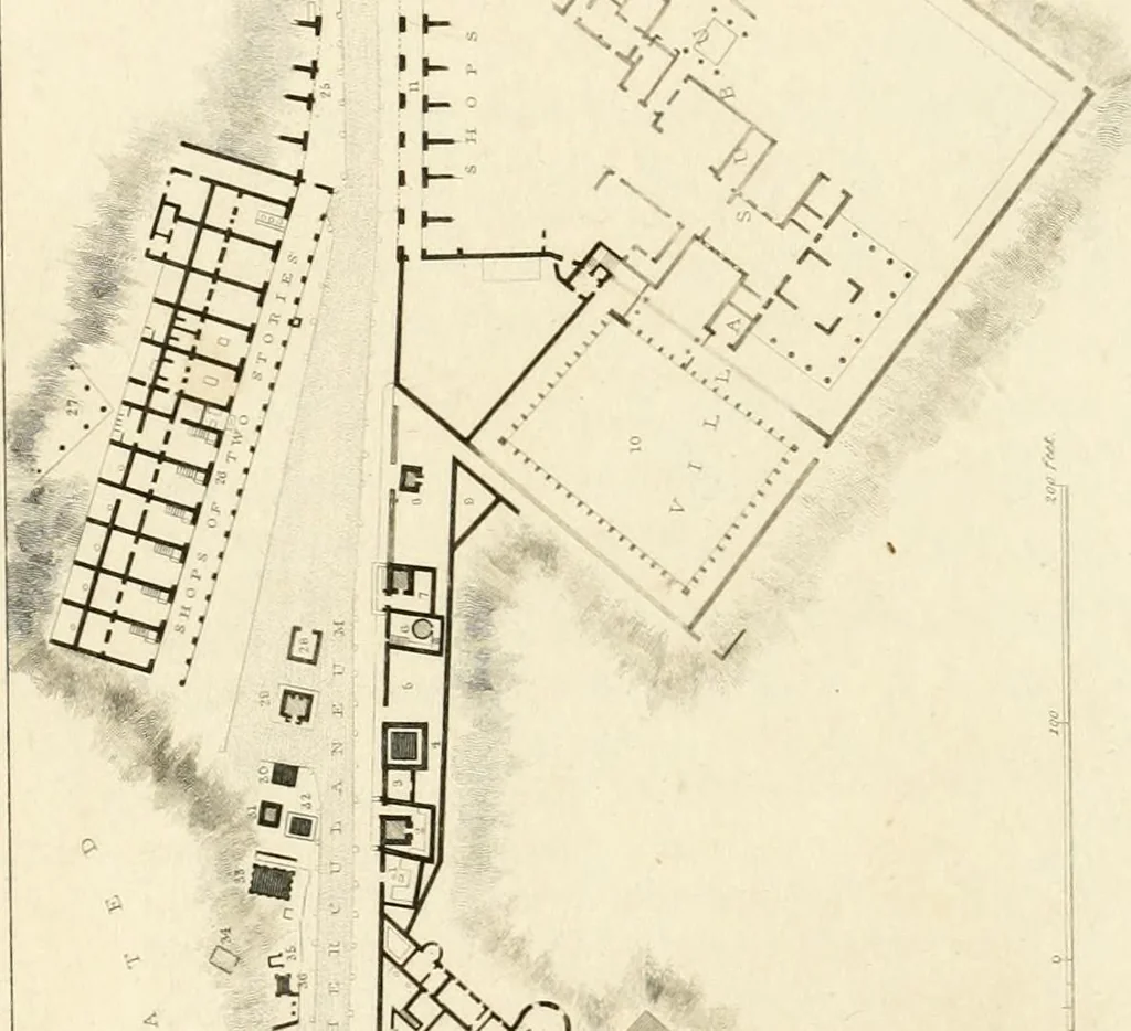 An illustration from Pompeiana : the topography, edifices, and ornaments of Pompeii, 1821, leaf 145
