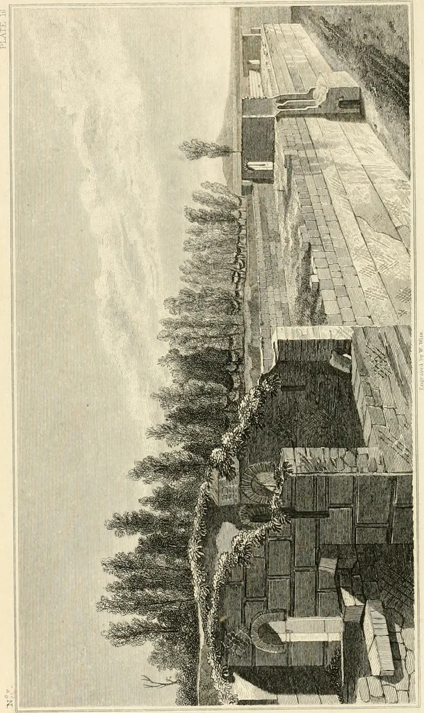 An illustration from Pompeiana : the topography, edifices, and ornaments of Pompeii, 1821, leaf 209