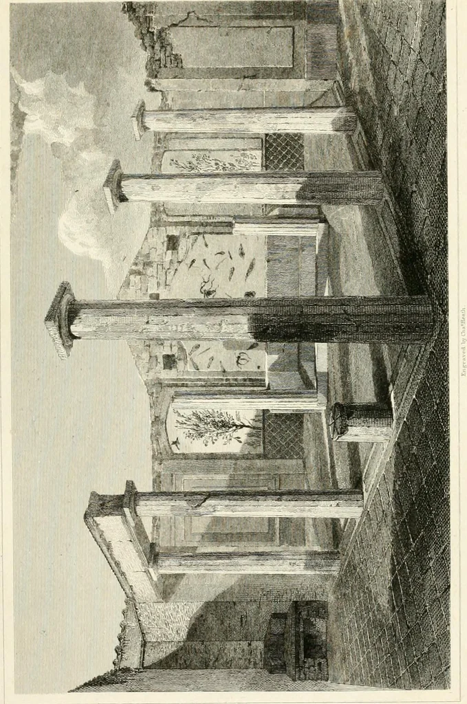 An illustration from Pompeiana : the topography, edifices, and ornaments of Pompeii, 1821, leaf 252