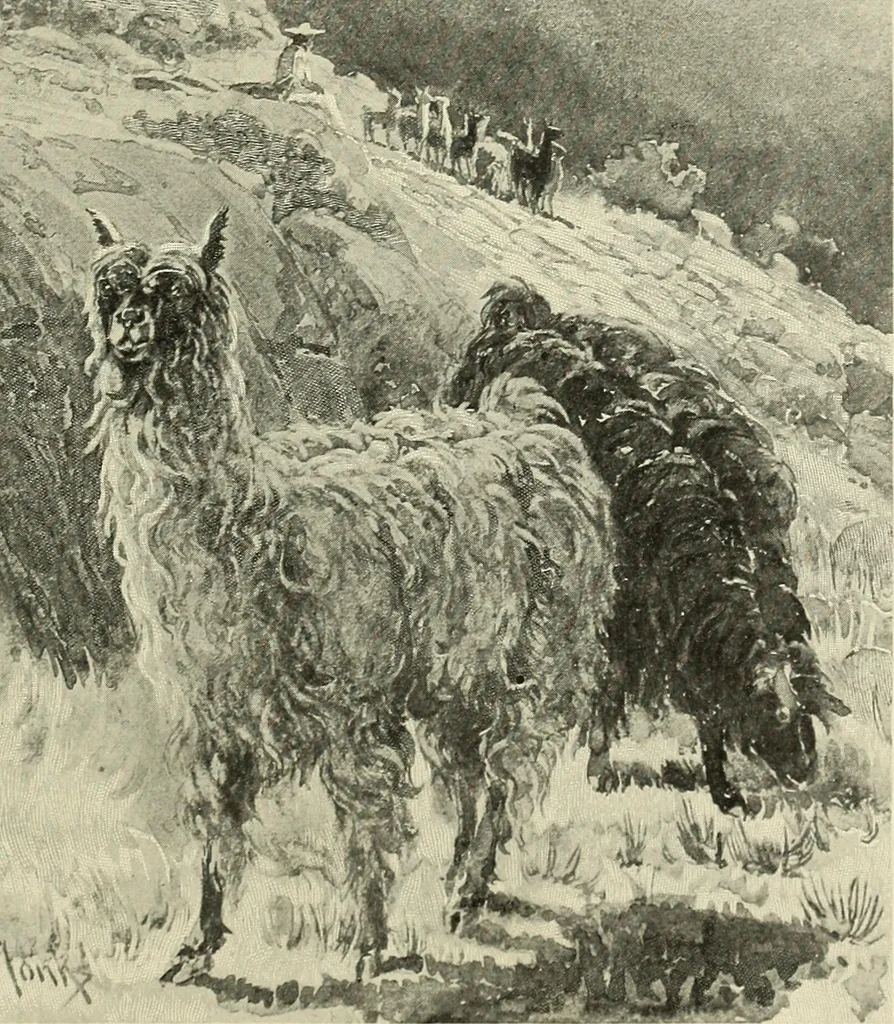 An illustration from Tops, a new American industry; a study in the development of the American worsted manufacture. The Arlington mills, 1898, leaf 124
