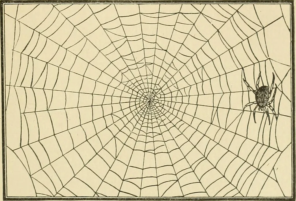 An illustration from Tops, a new American industry; a study in the development of the American worsted manufacture. The Arlington mills, 1898, leaf 164