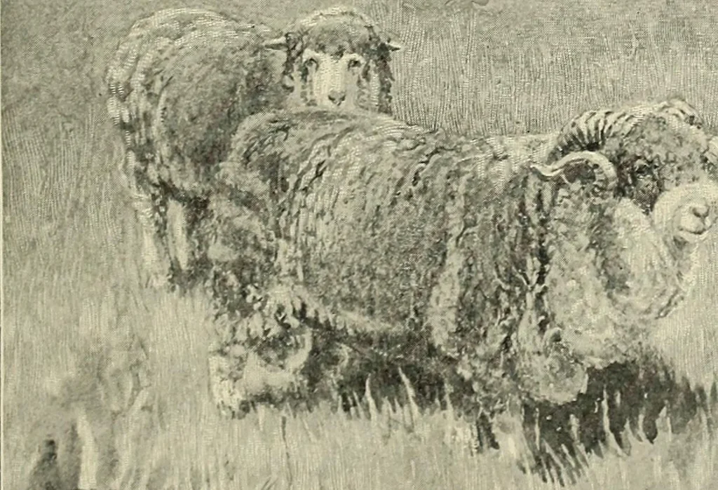 An illustration from Tops, a new American industry; a study in the development of the American worsted manufacture. The Arlington mills, 1898, leaf 46
