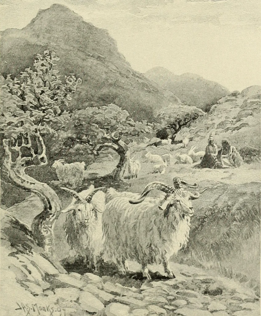 An illustration from Tops, a new American industry; a study in the development of the American worsted manufacture. The Arlington mills, 1898, leaf 80