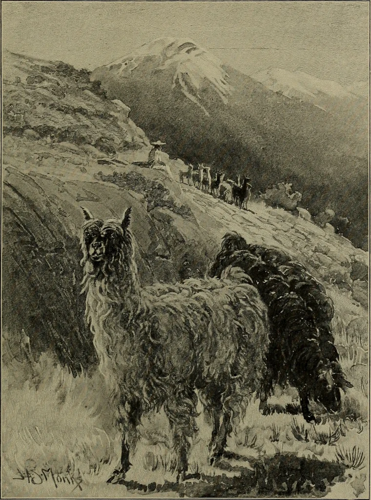 An illustration from Tops, a new American industry; a study in the development of the American worsted manufacture. The Arlington mills, 1898, leaf 122