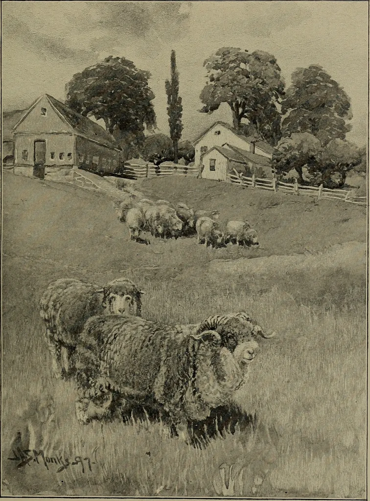 An illustration from Tops, a new American industry; a study in the development of the American worsted manufacture. The Arlington mills, 1898, leaf 46