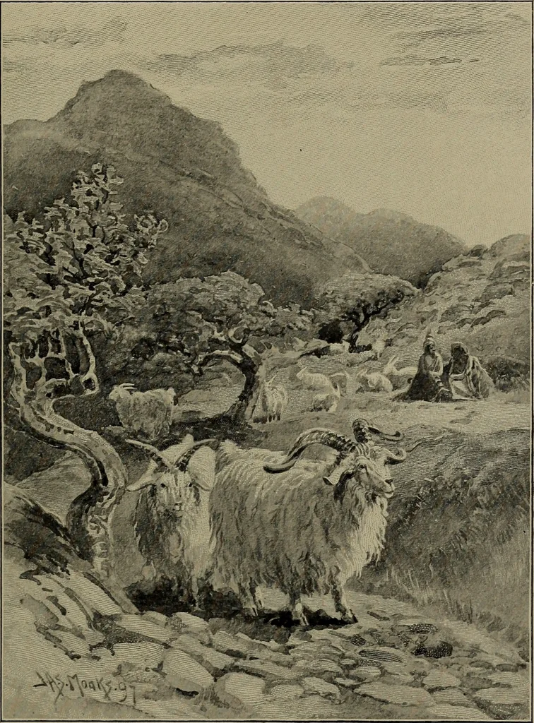 An illustration from Tops, a new American industry; a study in the development of the American worsted manufacture. The Arlington mills, 1898, leaf 78