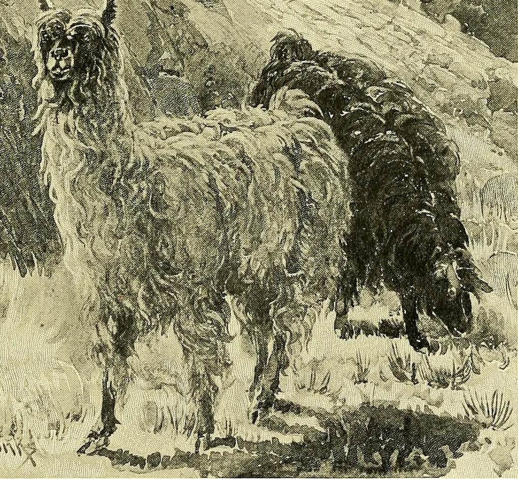 An illustration from Tops, a new American industry; a study in the development of the American worsted manufacture. The Arlington Mills .., 1898, leaf 122