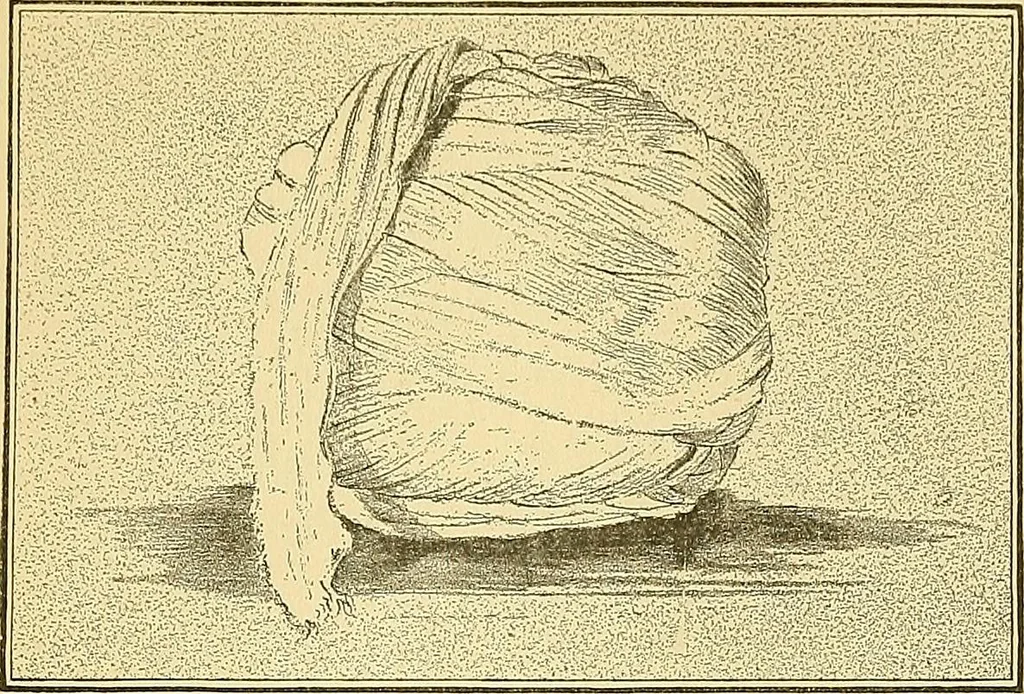 An illustration from Tops, a new American industry; a study in the development of the American worsted manufacture. The Arlington Mills .., 1898, leaf 16