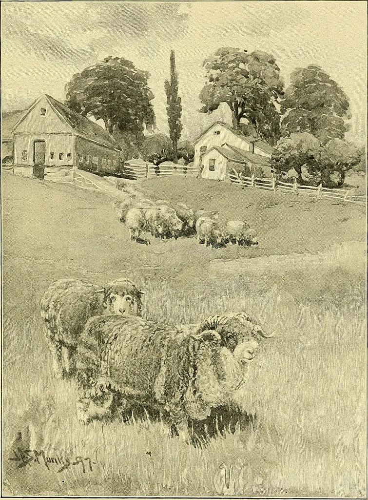 An illustration from Tops, a new American industry; a study in the development of the American worsted manufacture. The Arlington Mills .., 1898, leaf 46
