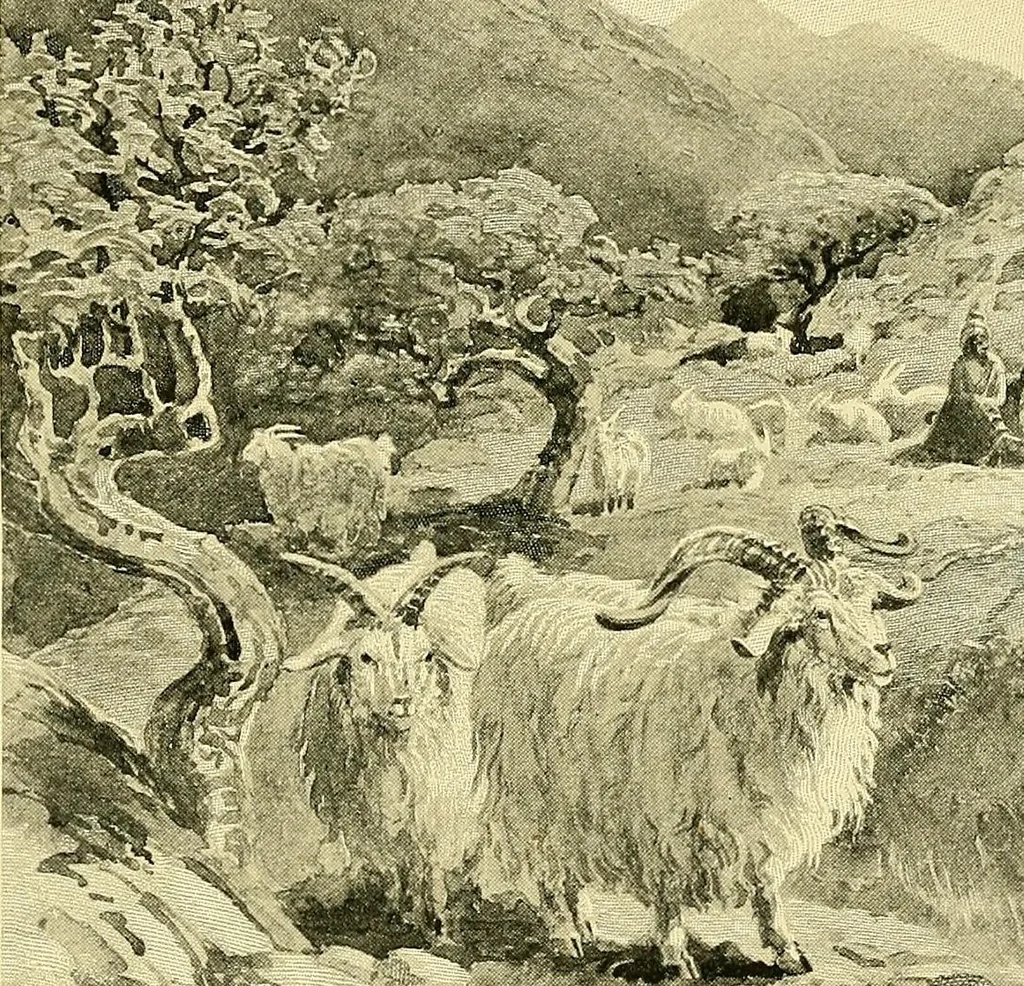 An illustration from Tops, a new American industry; a study in the development of the American worsted manufacture. The Arlington Mills .., 1898, leaf 78
