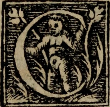 An illustration from Torat ha-mashi'ah : Euangelium secundum Matthaeum in lingua Hebraica, cum uersione Latina, atque annotationibus Seb. Munsteri = Hinnah lakhem ha-meshihiyim ve-ha-yehudiyim torat ha-Elohim hadashah u-kedoshah u-teminah ha-Nikhtavah al yede Matti hamevaser bi-leshon ha-kodesh al l [sic] limud ve-al ayyim shel Adonenu Yeshua ha-Mashia im atakah bi-leshon Romiyi ve-'im kotser ha-perushim : vnà cum epistola D. Pauli ad Hebraeos, Hebraicè & Latinè, 1557, leaf 209