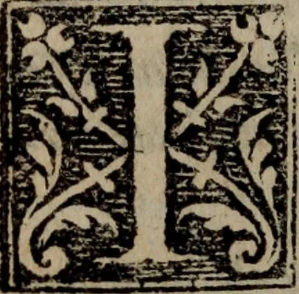 An illustration from Torat ha-mashi'ah : Euangelium secundum Matthaeum in lingua Hebraica, cum uersione Latina, atque annotationibus Seb. Munsteri = Hinnah lakhem ha-meshihiyim ve-ha-yehudiyim torat ha-Elohim hadashah u-kedoshah u-teminah ha-Nikhtavah al yede Matti hamevaser bi-leshon ha-kodesh al l [sic] limud ve-al ayyim shel Adonenu Yeshua ha-Mashia im atakah bi-leshon Romiyi ve-'im kotser ha-perushim : vnà cum epistola D. Pauli ad Hebraeos, Hebraicè & Latinè, 1557, leaf 225