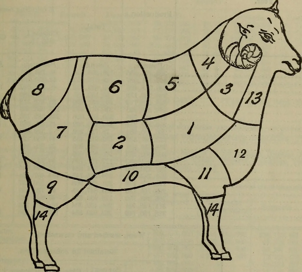 An illustration from To reduce the duties on wool and manufactures of wool ... Report, 1911, leaf 182