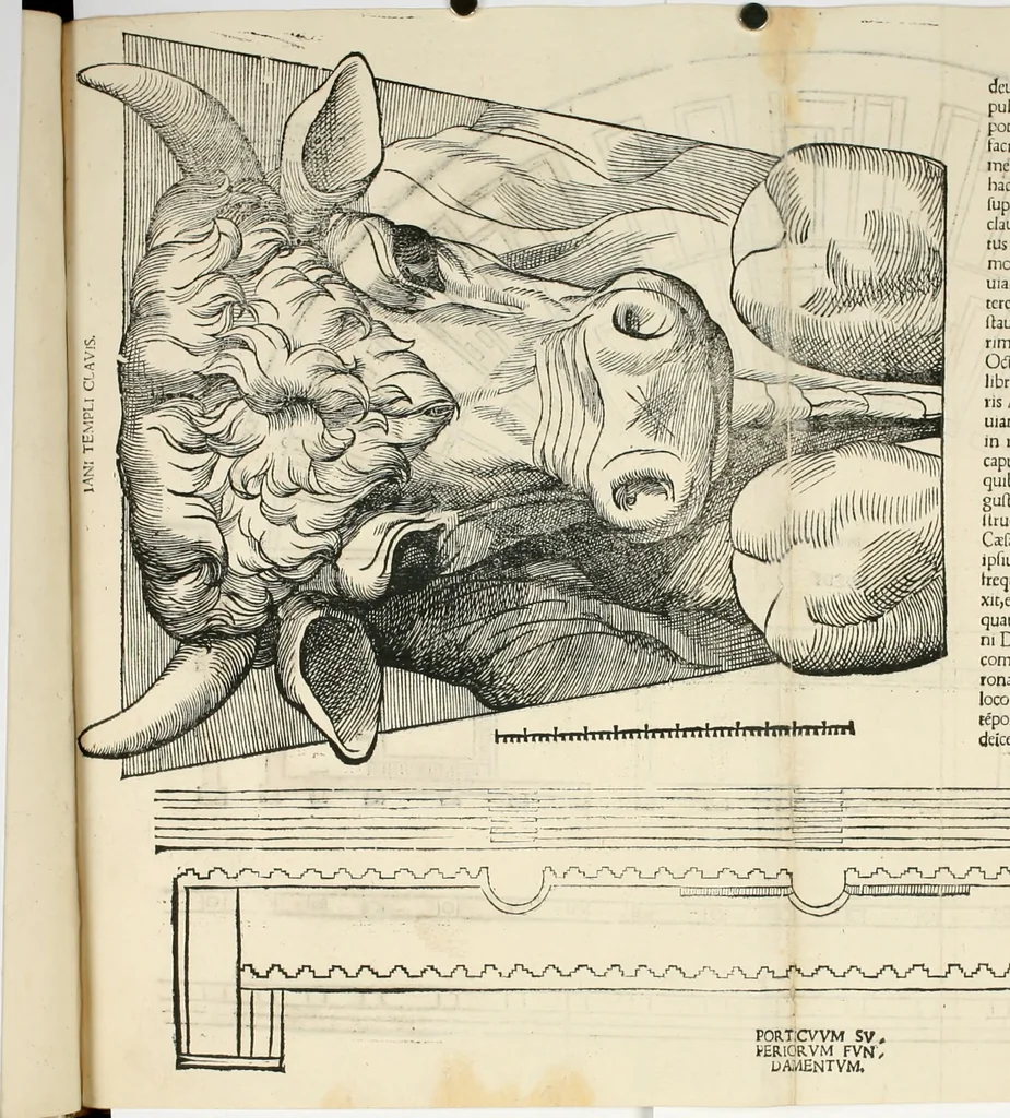 An illustration from Torelli Saraynae Veronensis leg. doct. De origine et amplitudine ciuitatis Veronæ : eiusdem de viris illustribus antiquis veronensibus, de his, qui potiti fuerunt dominio ciuitatis Veronæ, de monumentis antiquis vrbis, & agri veronensis, de interpretatione litterarum antiquarum : index præterea huius operis in calce additus est, 1540, leaf 23