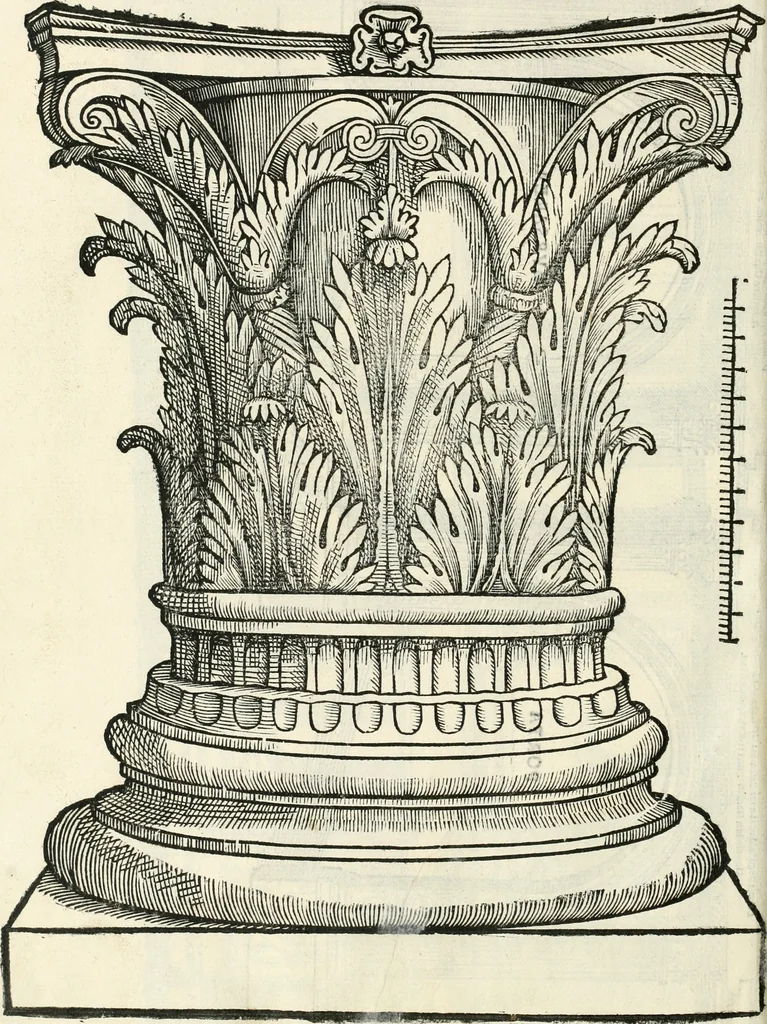 An illustration from Torelli Saraynae Veronensis leg. doct. De origine et amplitudine ciuitatis Veronæ : eiusdem de viris illustribus antiquis veronensibus, de his, qui potiti fuerunt dominio ciuitatis Veronæ, de monumentis antiquis vrbis, & agri veronensis, de interpretatione litterarum antiquarum : index præterea huius operis in calce additus est, 1540, leaf 49