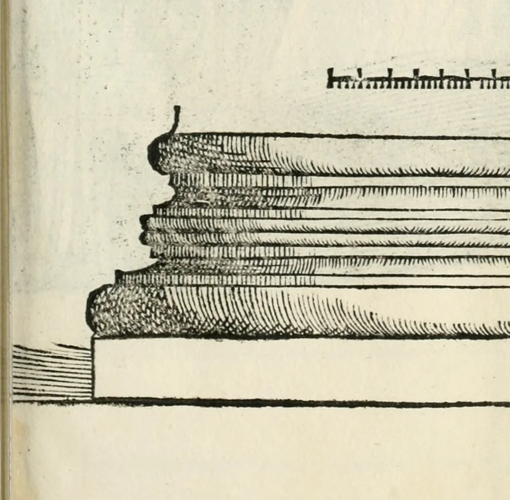 An illustration from Torelli Saraynae Veronensis leg. doct. De origine et amplitudine ciuitatis Veronæ : eiusdem de viris illustribus antiquis veronensibus, de his, qui potiti fuerunt dominio ciuitatis Veronæ, de monumentis antiquis vrbis, & agri veronensis, de interpretatione litterarum antiquarum : index præterea huius operis in calce additus est, 1540, leaf 66