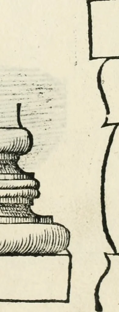 An illustration from Torelli Saraynae Veronensis leg. doct. De origine et amplitudine ciuitatis Veronæ : eiusdem de viris illustribus antiquis veronensibus, de his, qui potiti fuerunt dominio ciuitatis Veronæ, de monumentis antiquis vrbis, & agri veronensis, de interpretatione litterarum antiquarum : index præterea huius operis in calce additus est, 1540, leaf 66