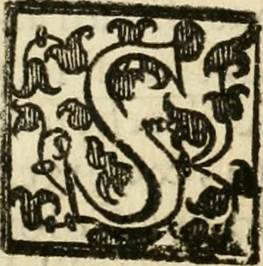 An illustration from Torneo fatto sotto il castello d'Argio da' ss. caualieri bolognesi il di IX. febraio 1578, 1578, leaf 23