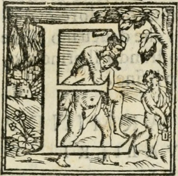 An illustration from Torneo fatto sotto il castello d'Argio da' ss. caualieri bolognesi il di IX. febraio 1578, 1578, leaf 4