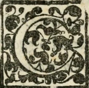 An illustration from Torneo fatto sotto il castello d'Argio da' ss. caualieri bolognesi il di IX. febraio 1578, 1578, leaf 60