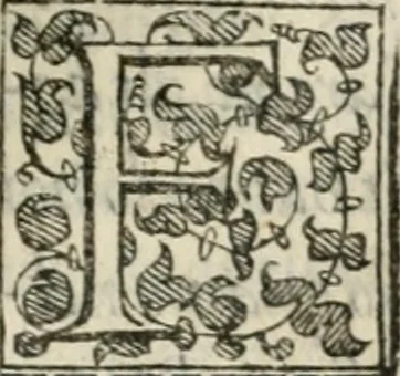 An illustration from Torneo fatto sotto il castello d'Argio da' ss. caualieri bolognesi il di IX. febraio 1578, 1578, leaf 68