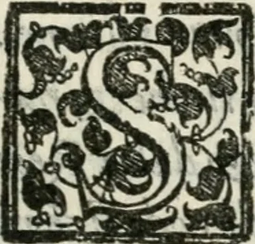 An illustration from Torneo fatto sotto il castello d'Argio da' ss. caualieri bolognesi il di IX. febraio 1578, 1578, leaf 76