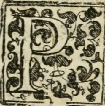 An illustration from Torneo fatto sotto il castello d'Argio da' ss. caualieri bolognesi il di IX. febraio 1578, 1578, leaf 90
