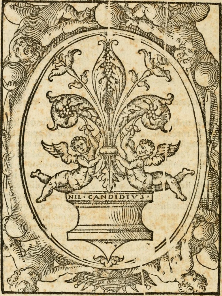 An illustration from Torneo a piedi mantenuto in Pisa dall'illustriss. et eccellentiss. s. d. Cosimo Medici, gran principe di Toscana, 1603, leaf 53
