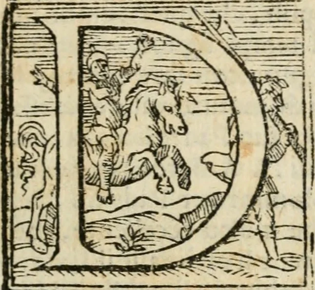 An illustration from Torneo a piedi mantenuto in Pisa dall'illustriss. et eccellentiss. s. d. Cosimo Medici, gran principe di Toscana, 1603, leaf 6