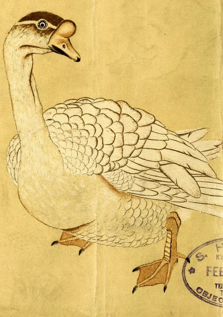 An illustration from Toshi Nishijin Okamura Kataro Shi shozohin nyusatsu mokuroku, 1916, leaf 1