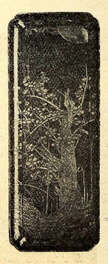 An illustration from Toshi Nishijin Okamura Kataro Shi shozohin nyusatsu mokuroku, 1916, leaf 97