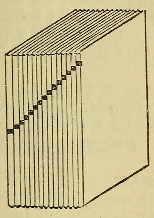 An illustration from Toshokan jiten, 1900, leaf 113