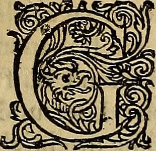 An illustration from Inleyding tot de hooge schoole der schilderkonst : anders de zichtbaere werelt : verdeelt in negen leerwinkels, yder bestiert door eene der zanggodinnen : ten hoogsten noodzakelijk, tot onderwijs, voor alle die deeze edele, vrye, en hooge konst oeffenen, of met yver zoeken te leeren, of anders eenigzins beminnen, 1678, leaf 102