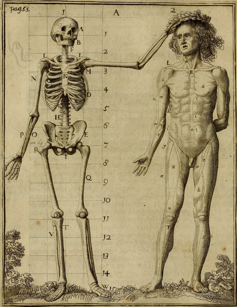 An illustration from Inleyding tot de hooge schoole der schilderkonst : anders de zichtbaere werelt : verdeelt in negen leerwinkels, yder bestiert door eene der zanggodinnen : ten hoogsten noodzakelijk, tot onderwijs, voor alle die deeze edele, vrye, en hooge konst oeffenen, of met yver zoeken te leeren, of anders eenigzins beminnen, 1678, leaf 77