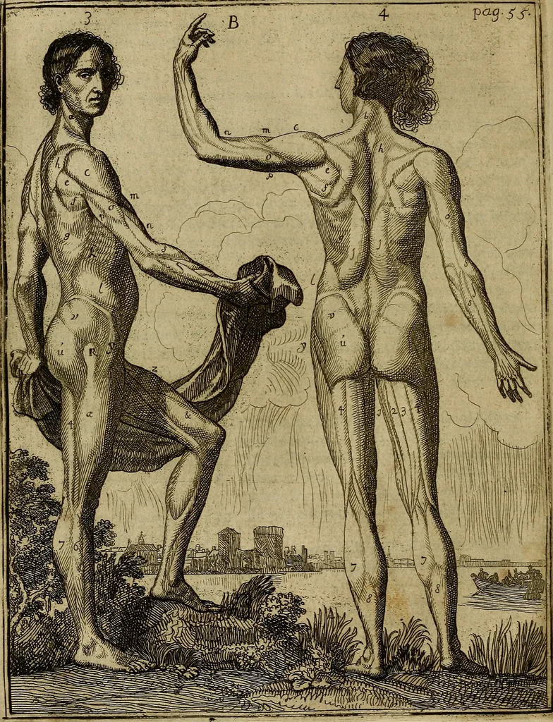 An illustration from Inleyding tot de hooge schoole der schilderkonst : anders de zichtbaere werelt : verdeelt in negen leerwinkels, yder bestiert door eene der zanggodinnen : ten hoogsten noodzakelijk, tot onderwijs, voor alle die deeze edele, vrye, en hooge konst oeffenen, of met yver zoeken te leeren, of anders eenigzins beminnen, 1678, leaf 81