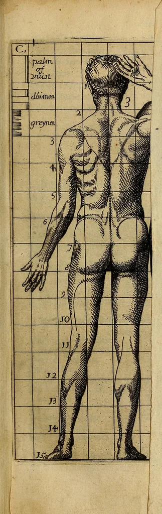 An illustration from Inleyding tot de hooge schoole der schilderkonst : anders de zichtbaere werelt : verdeelt in negen leerwinkels, yder bestiert door eene der zanggodinnen : ten hoogsten noodzakelijk, tot onderwijs, voor alle die deeze edele, vrye, en hooge konst oeffenen, of met yver zoeken te leeren, of anders eenigzins beminnen, 1678, leaf 86