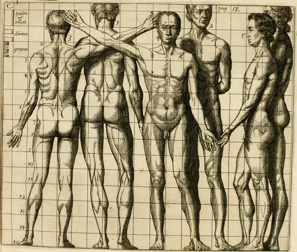 An illustration from Inleyding tot de hooge schoole der schilderkonst : anders de zichtbaere werelt : verdeelt in negen leerwinkels, yder bestiert door eene der zanggodinnen : ten hoogsten noodzakelijk, tot onderwijs, voor alle die deeze edele, vrye, en hooge konst oeffenen, of met yver zoeken te leeren, of anders eenigzins beminnen, 1678, leaf 87